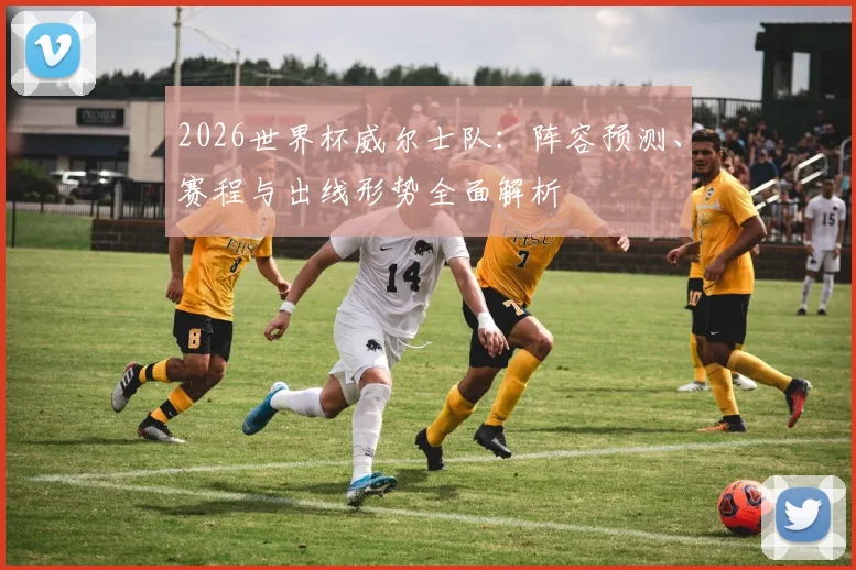 2026世界杯威尔士队：阵容预测、赛程与出线形势全面解析
