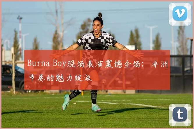Burna Boy现场表演震撼全场：非洲节奏的魅力绽放