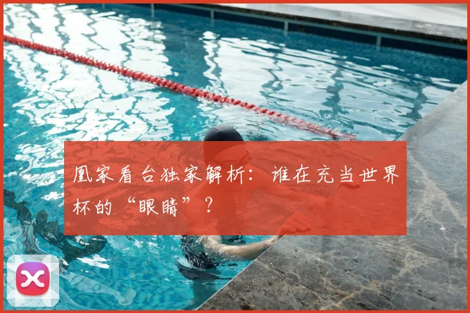 凰家看台独家解析：谁在充当世界杯的“眼睛”？