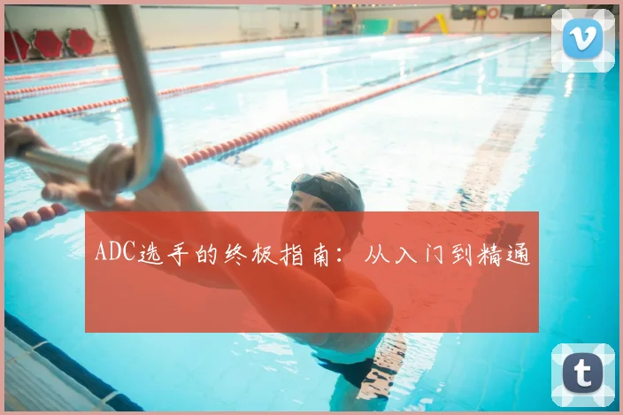 ADC选手的终极指南：从入门到精通