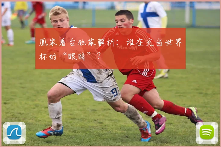 凰家看台独家解析：谁在充当世界杯的“眼睛”？